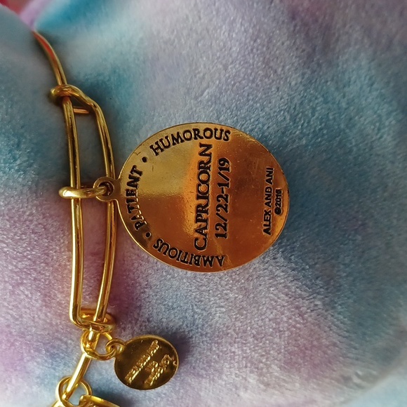 Capricorn Celestial Wheel expandable bangle by Alex and Ani RARE/DISCONTINUED - Picture 7 of 12